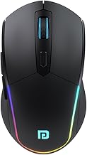 Mouse Model B